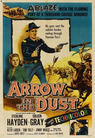 Poster Arrow in the Dust