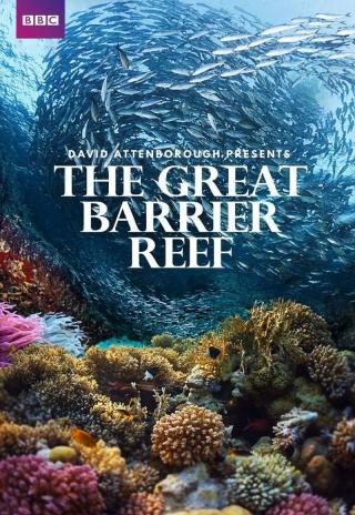 Poster Great Barrier Reef with David Attenborough