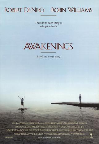 Poster Awakenings