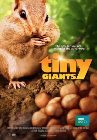 Poster Tiny Giants