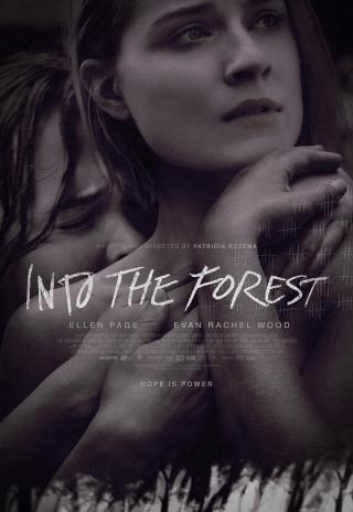 Poster Into the Forest