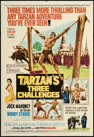 Poster Tarzan's Three Challenges