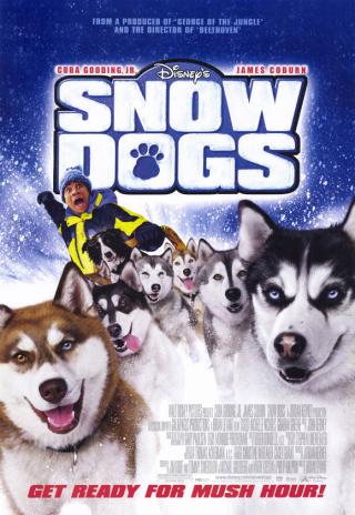 Poster Snow Dogs