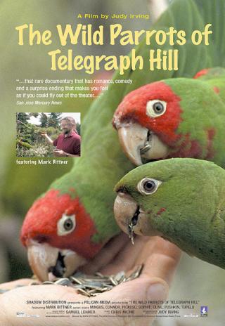 Poster The Wild Parrots of Telegraph Hill