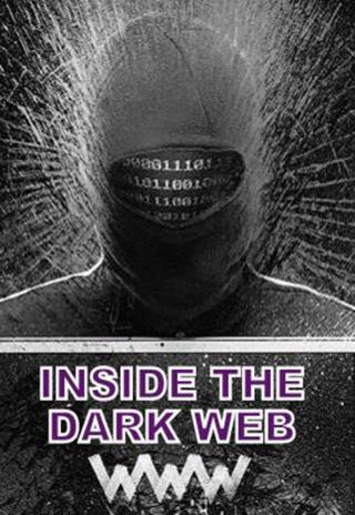 Subtitrări Horizon: Inside the Dark Web 2014 | RegieLive
