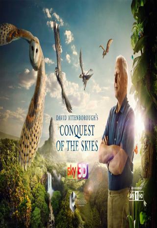 Poster David Attenborough's Conquest of the Skies 3D