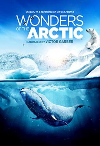 Poster Wonders of the Arctic 3D