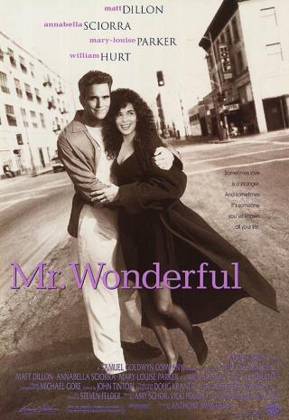 Poster Mr. Wonderful