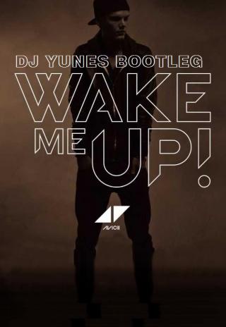 Poster Avicii: Wake Me Up