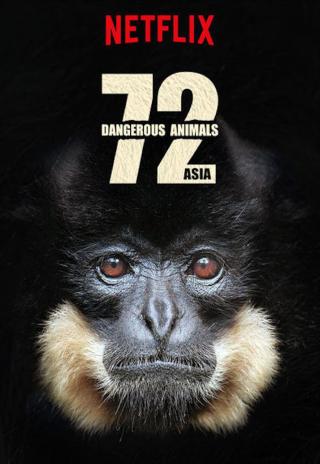 Poster 72 Dangerous Animals - Asia