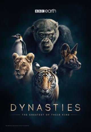 Poster Dynasties