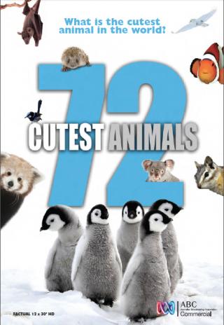 Poster 72 Cutest Animals