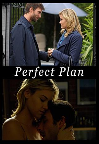 Poster Perfect Plan