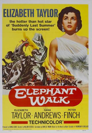 Poster Elephant Walk