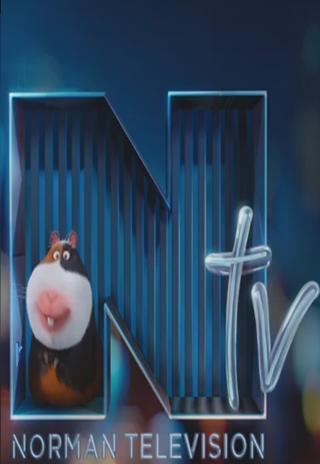 Poster Norman Television