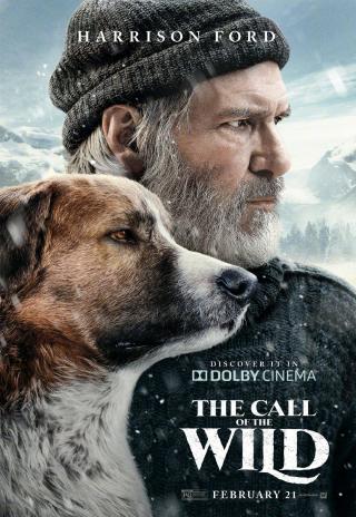 Poster The Call of the Wild
