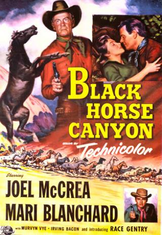 Poster Black Horse Canyon