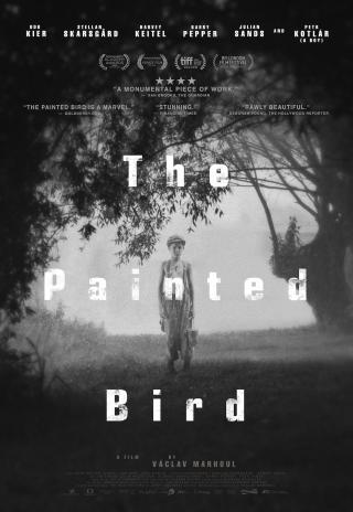 Poster The Painted Bird