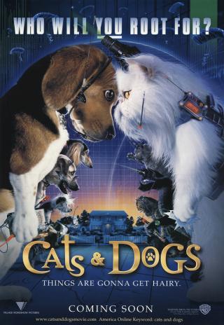 Poster Cats & Dogs