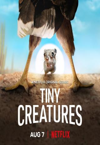 Poster Tiny Creatures
