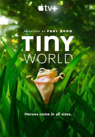 Poster Tiny World
