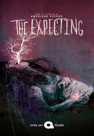 Poster The Expecting