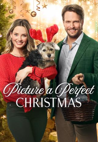 Poster Picture a Perfect Christmas