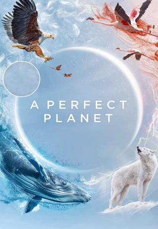Poster A Perfect Planet