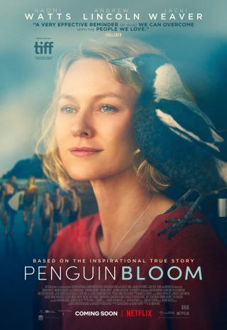 Poster Penguin Bloom