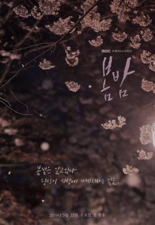 Poster One Spring Night