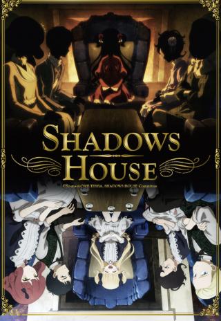 Poster Shadows House