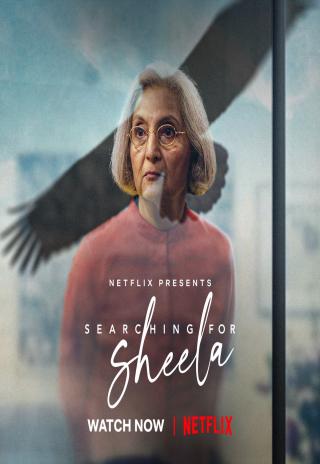 Poster Searching for Sheela