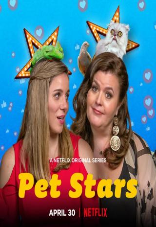 Poster Pet Stars