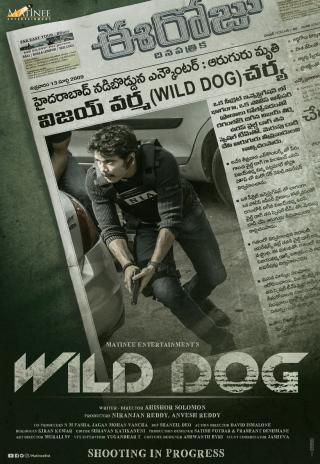 Poster Wild Dog