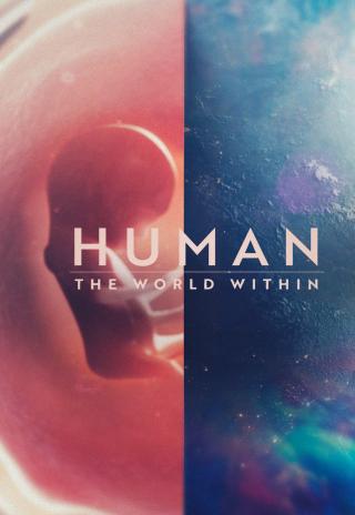 Poster Human: The World Within