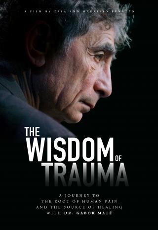 Poster The Wisdom of Trauma