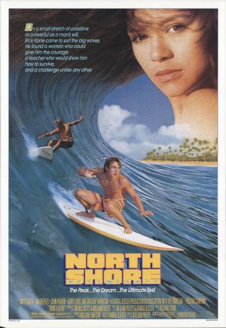 Poster North Shore