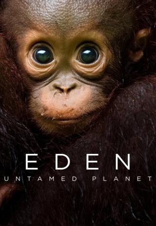 Poster Eden: Untamed Planet