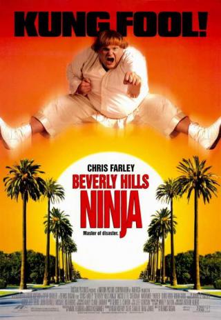 Poster Beverly Hills Ninja