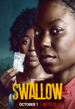 Poster Swallow