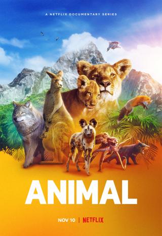 Poster Animal