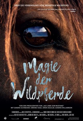 Poster Magic of the Wild Horses