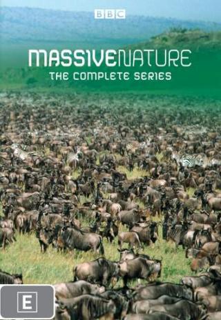 Massive Nature (2004)