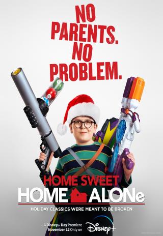 Poster Home Sweet Home Alone