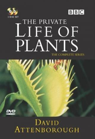 Poster The Private Life of Plants