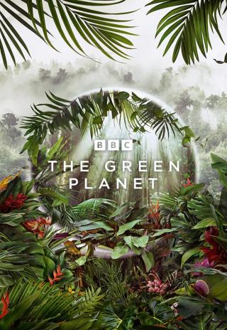 Poster The Green Planet