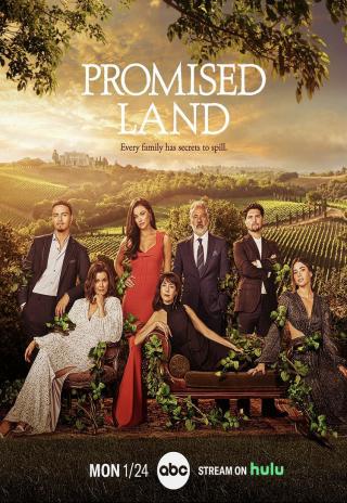 Poster Promised Land