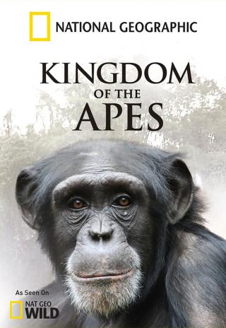 Poster Kingdom of the Apes
