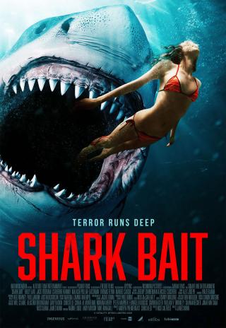 Poster Shark Bait