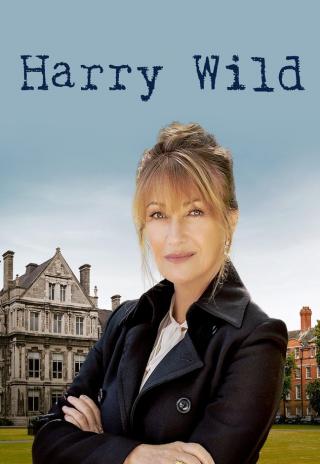 Poster Harry Wild